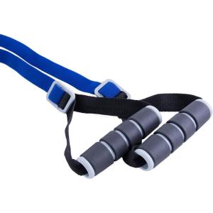 CAP Barbell Elastic Resistant Band with Handles | Multiple Options(Medium – Blue)